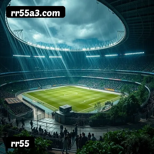 Requisitos do APK rr55 para Android — compatibilidade e uso no celular