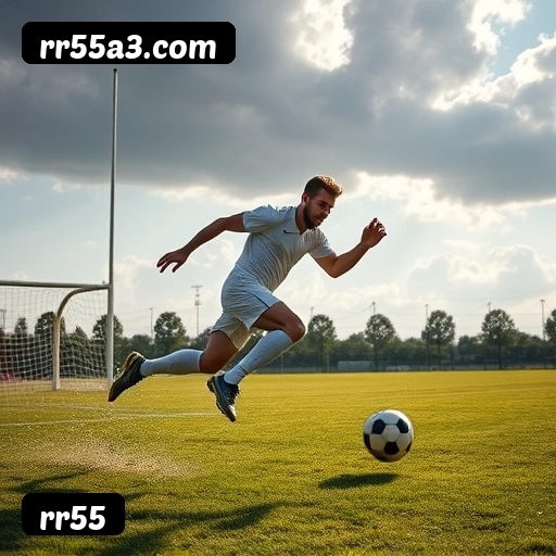 Níveis do programa VIP da rr55